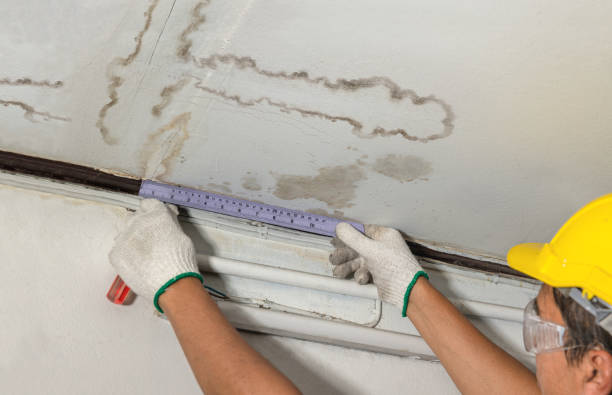 Reliable Mold Remediation contractor in Montague, CA by Water Damage Irwin